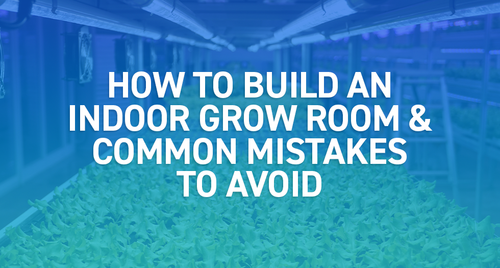 How to Build an Indoor Grow Room & Common Mistakes to Avoid
