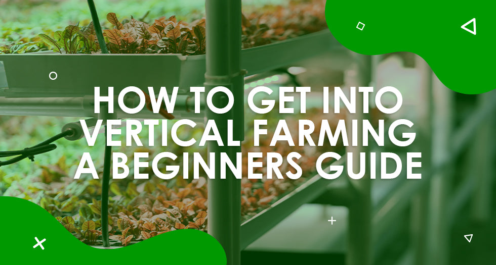 How to get into Vertical Farming – A Beginners Guide