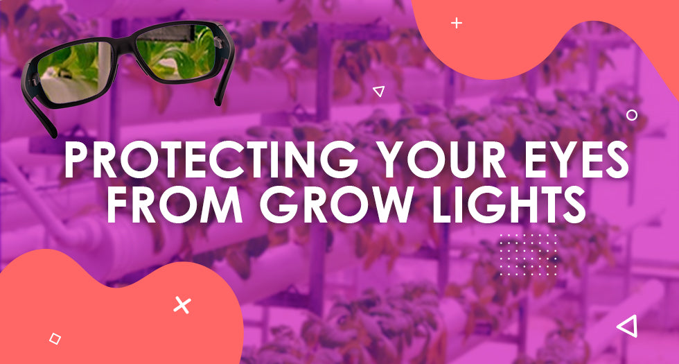 Protecting Your Eyes from Lighting in Your Grow Room