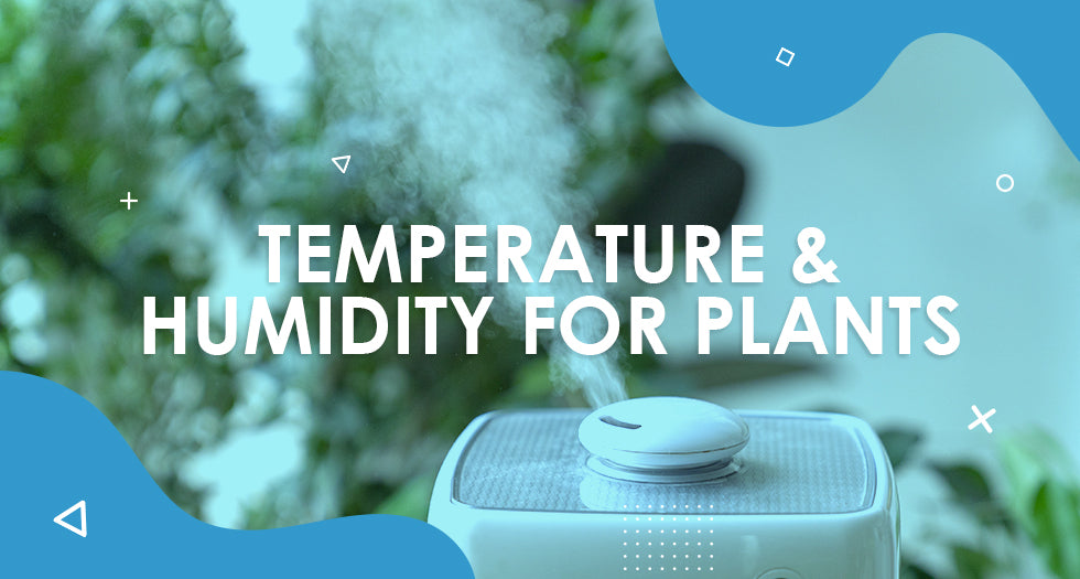 Understanding optimum Temperature and Humidity for Plants
