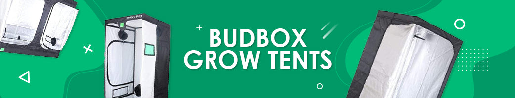Budbox Grow Tents