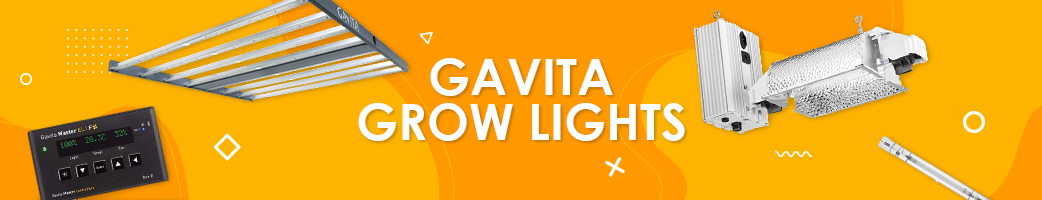 Gavita Grow Lights