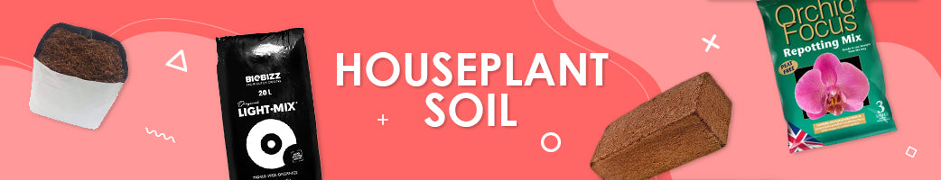 Potting Mix & Houseplant Soil