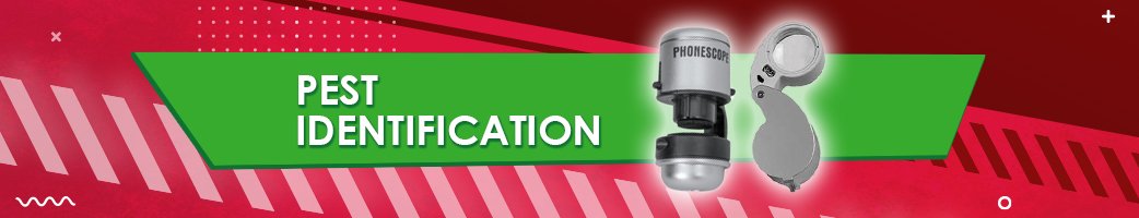 Pest Identification