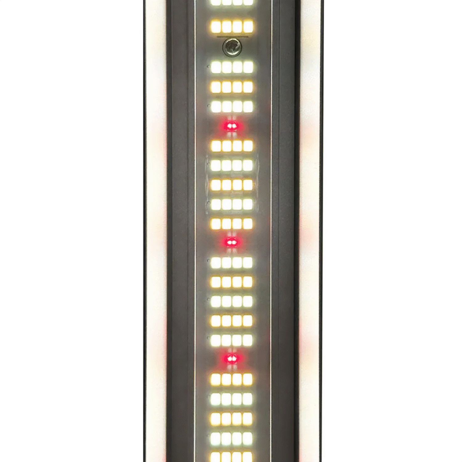 LUMii XLEDv6 680W LED Fixture