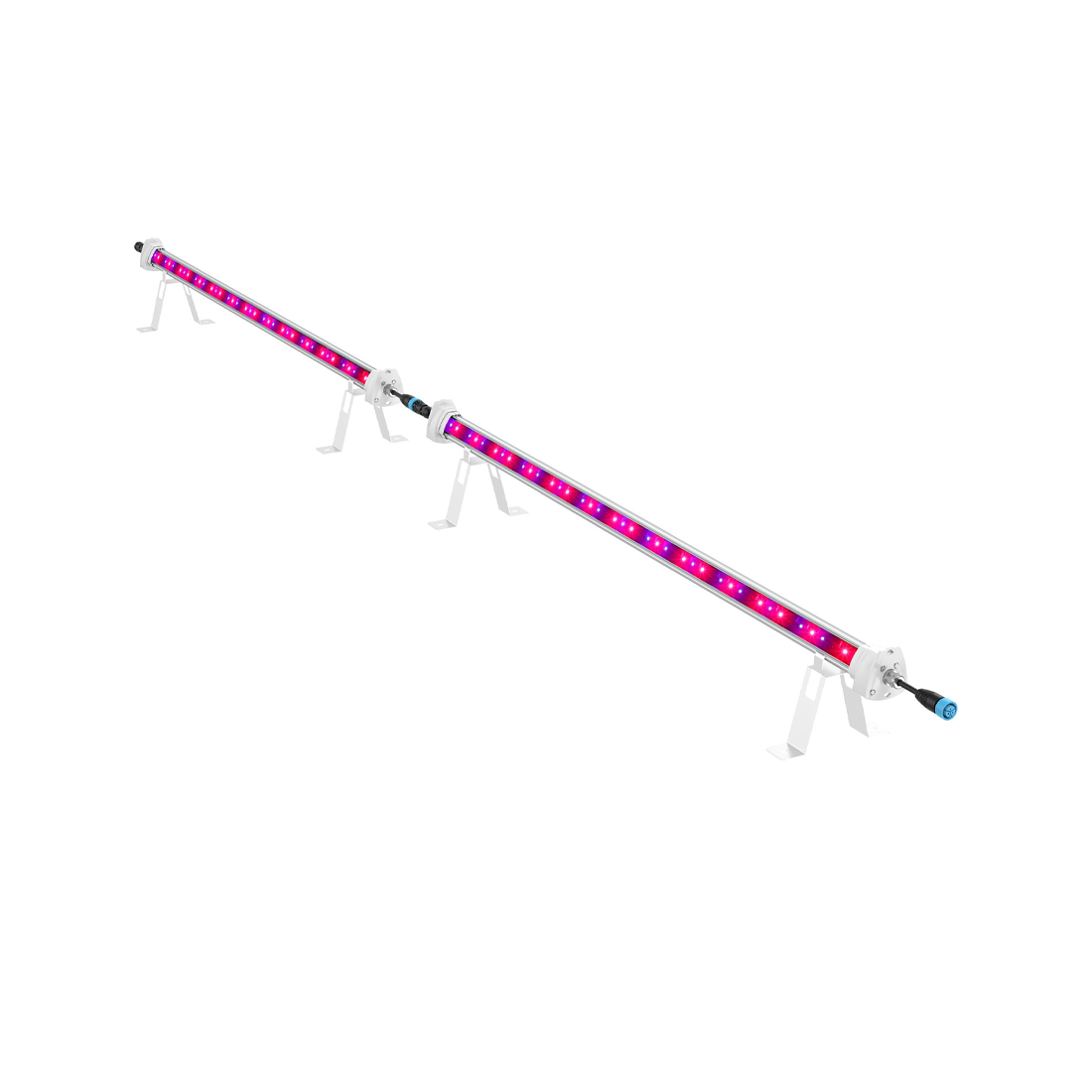 Maxibright MaxiLED Under-Canopy LED 2 x 120W