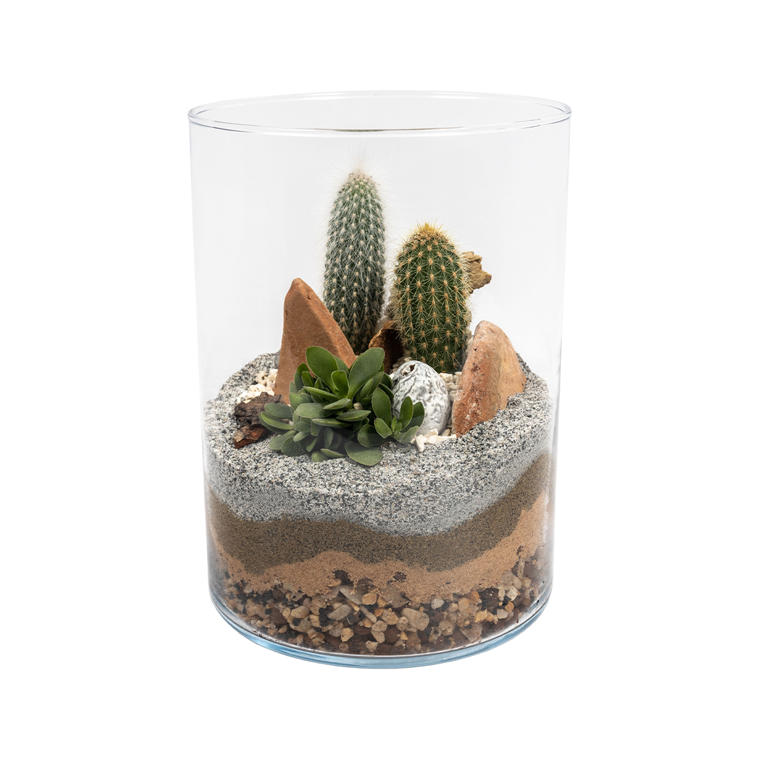 Terrariums