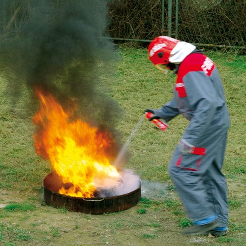 Fire Delete - Extinguishing Spray 750ml - London Grow