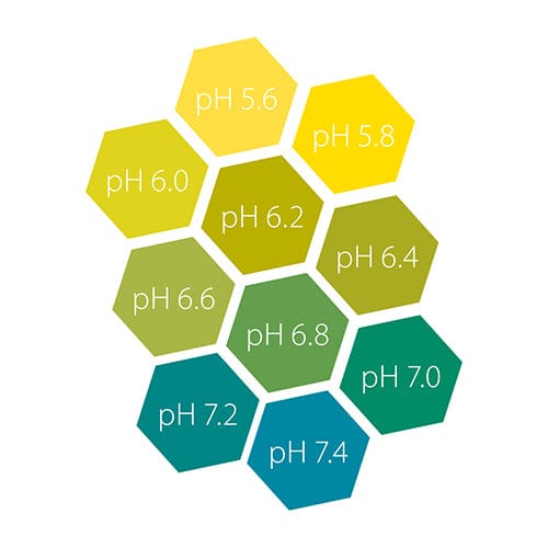 Vitalink - pH Test Kit - London Grow