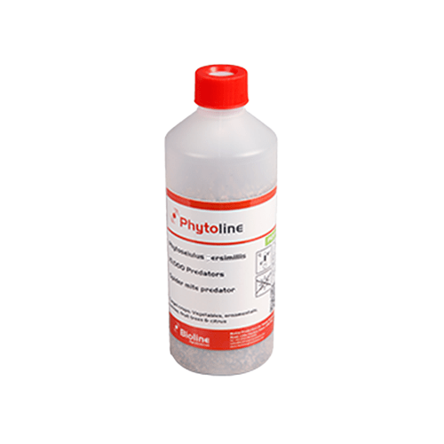 Spider Mite Predators 500ml - 2000 Phytoseiulus persimilis - London Grow