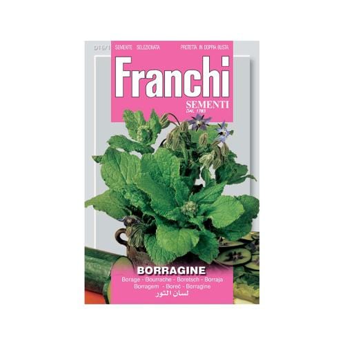 Borage - London Grow