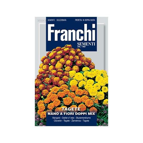 Dwarf Marigold Seeds