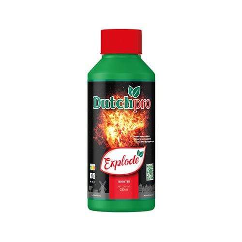 Dutch Pro Explode 250ml - London Grow