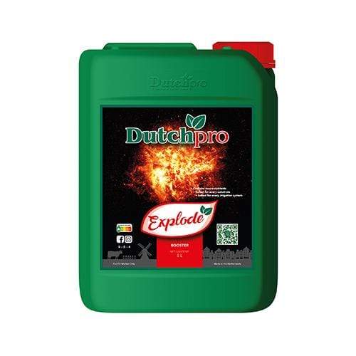 Dutch Pro Explode 5L - London Grow
