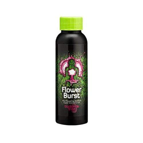 Buddha's Tree Flower Burst 100ml - London Grow