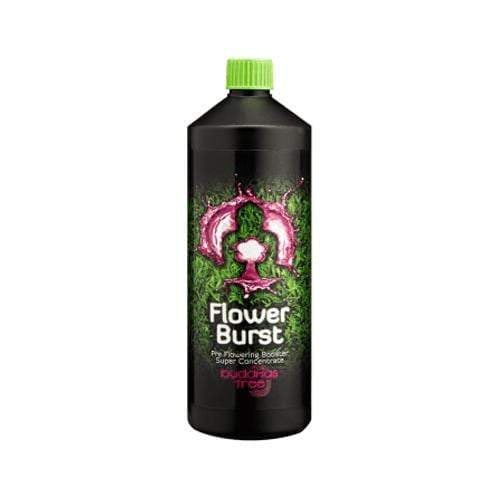 Buddha's Tree Flower Burst 1L - London Grow