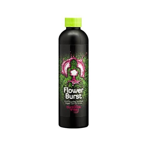 Buddha's Tree Flower Burst 250ml - London Grow
