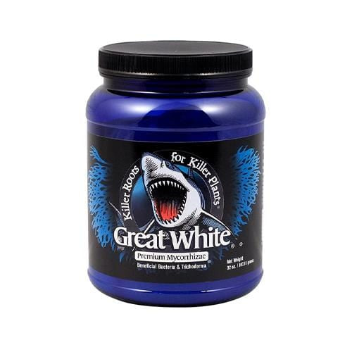 Plant Success Great White 32oz - London Grow