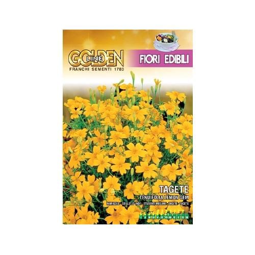Edible Tagete Marigold - London Grow