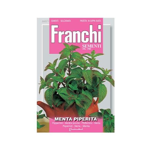 Peppermint - London Grow