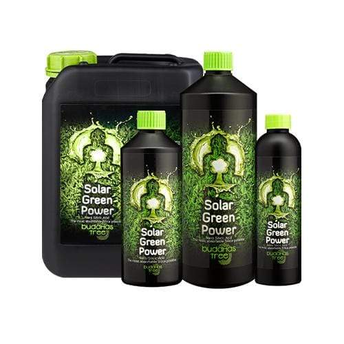 Buddha's Tree Solar Green Power - London Grow