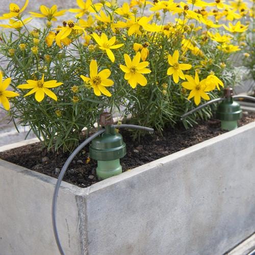 Tropf Blumat Sensor - London Grow