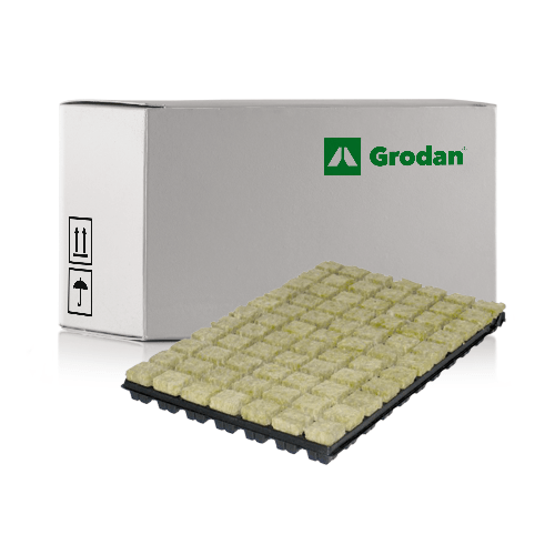 Grodan SBS Cubes Dutch - 18 Trays - London Grow