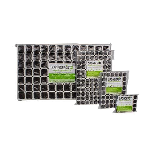 Spongepot - London Grow