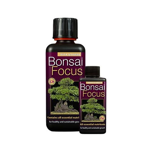Growth Technology Bonsai Focus