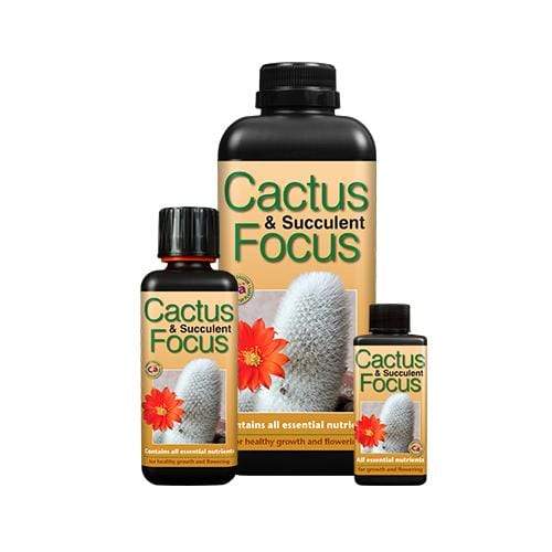 Growth Technology Cactus Focus