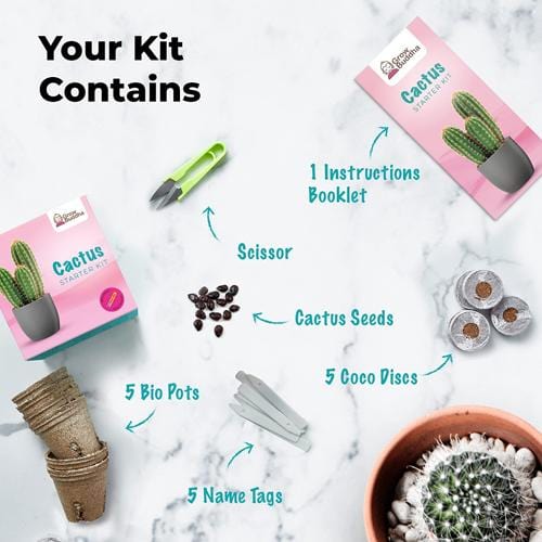 Grow Buddha - Cactus Starter Kit - London Grow