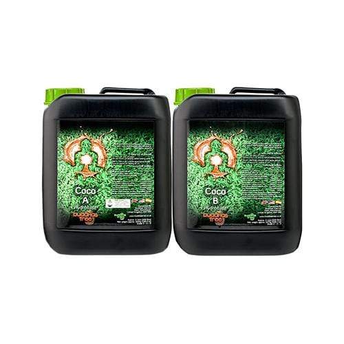 Buddha's Tree - Coco A+B 5L - London Grow