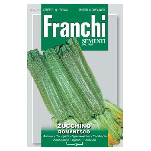 Courgette Romanesco - London Grow