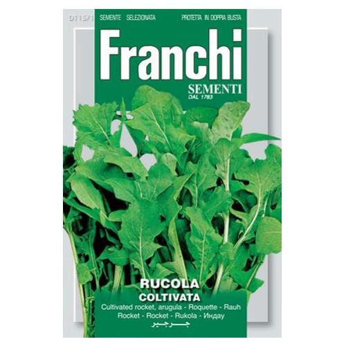 plant rocket seeds Cultivated Rocket Seeds