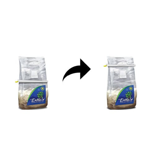Exhale CO2 Bag - London Grow