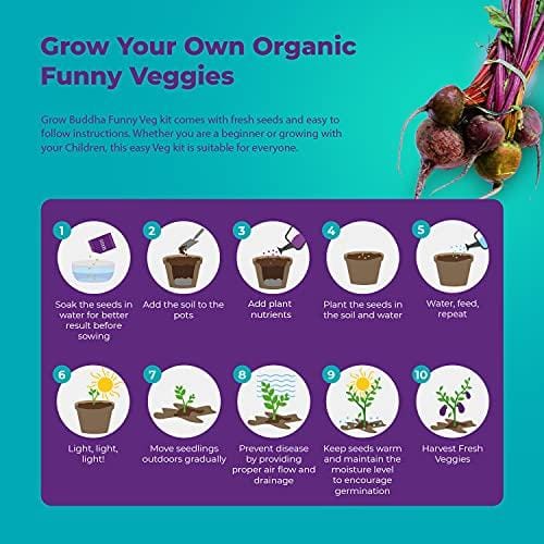 Grow Buddha - Funny Veg Starter Kit - London Grow