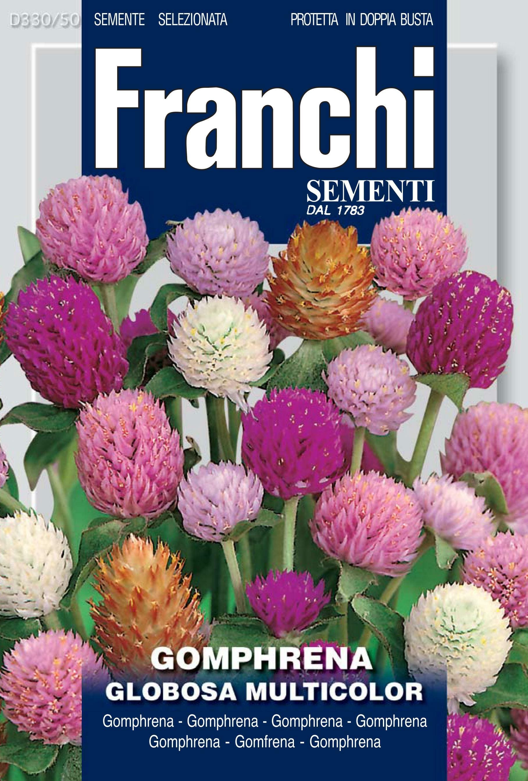 flower seeds london Gomphrena Flower Seeds
