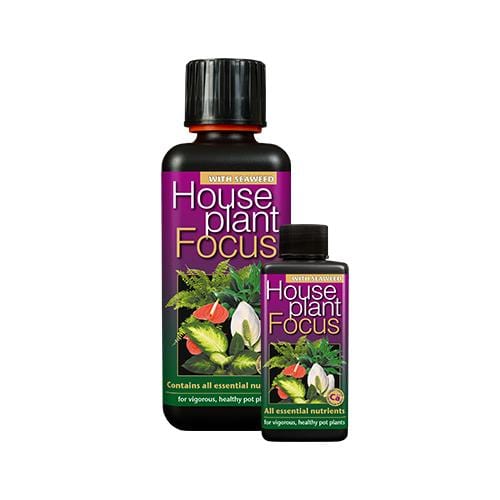 house plant focus Growth Technology Houseplant Focus