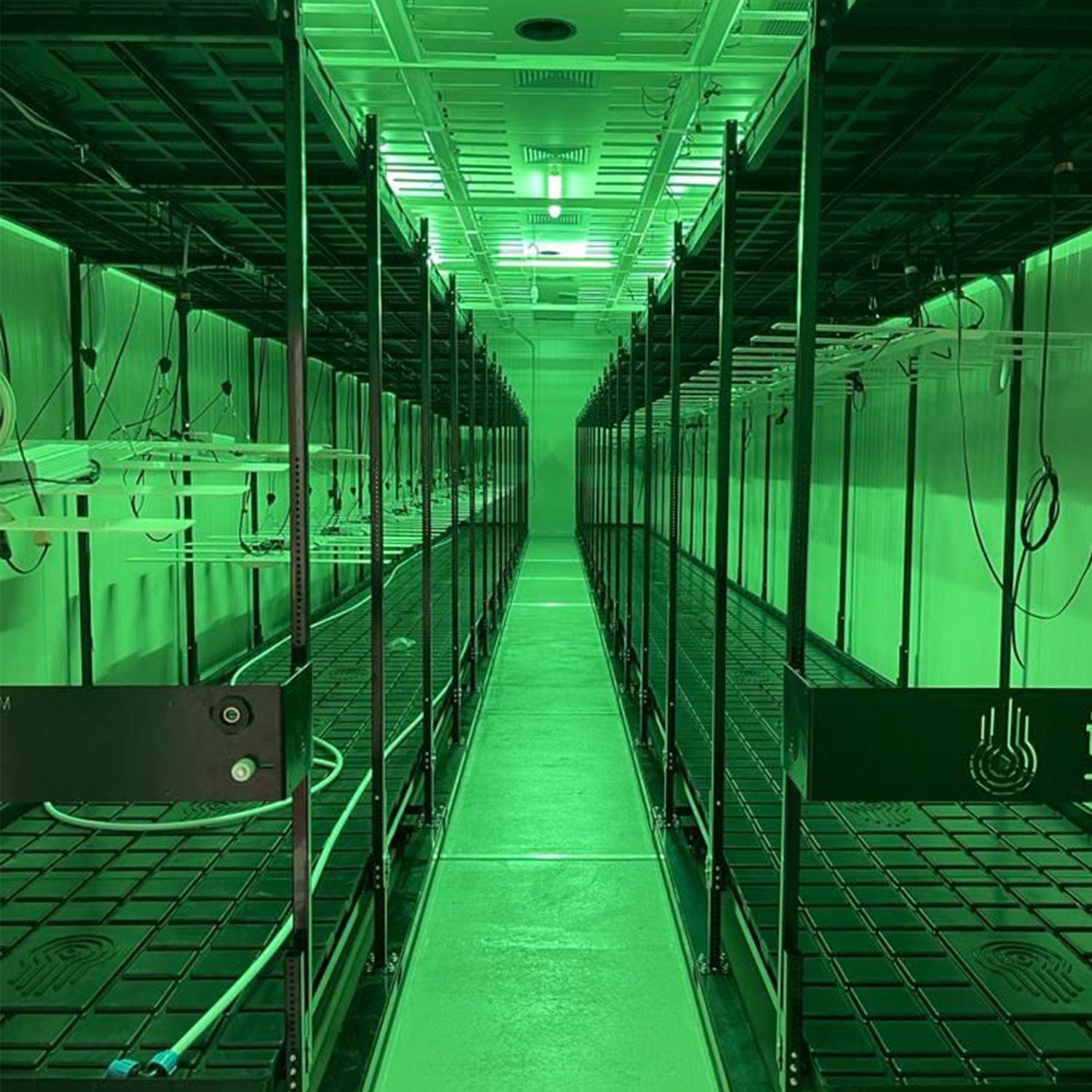 Idrolab - Idrorack with Trays - London Grow