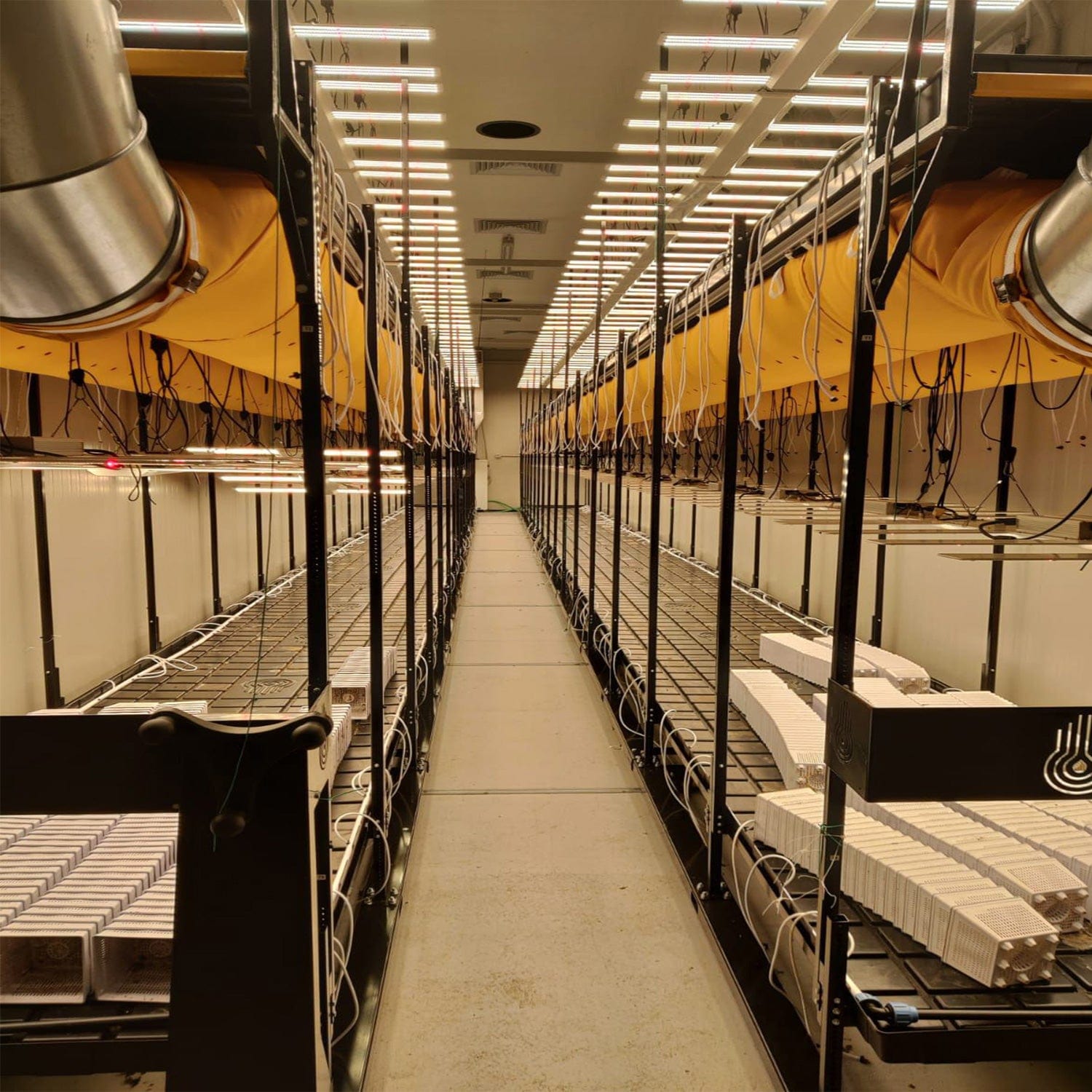 Idrolab - Idrorack with Trays - London Grow