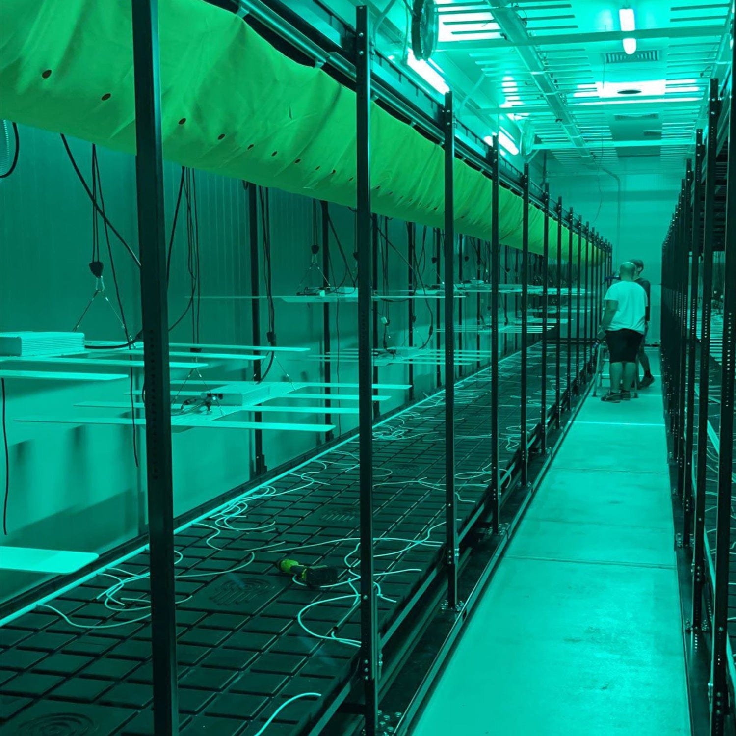 Idrolab - Idrorack with Trays - London Grow