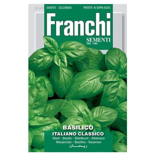 Basil Classico Italiano - London Grow