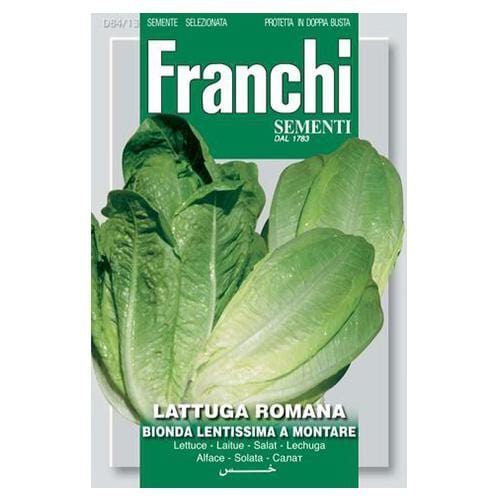 Lettuce Romaine Lentissima - London Grow