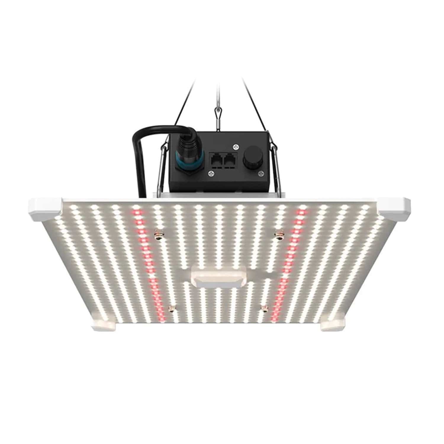 Lumii Black Blade - London Grow