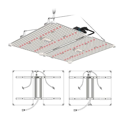 Lumii Black Blade - London Grow