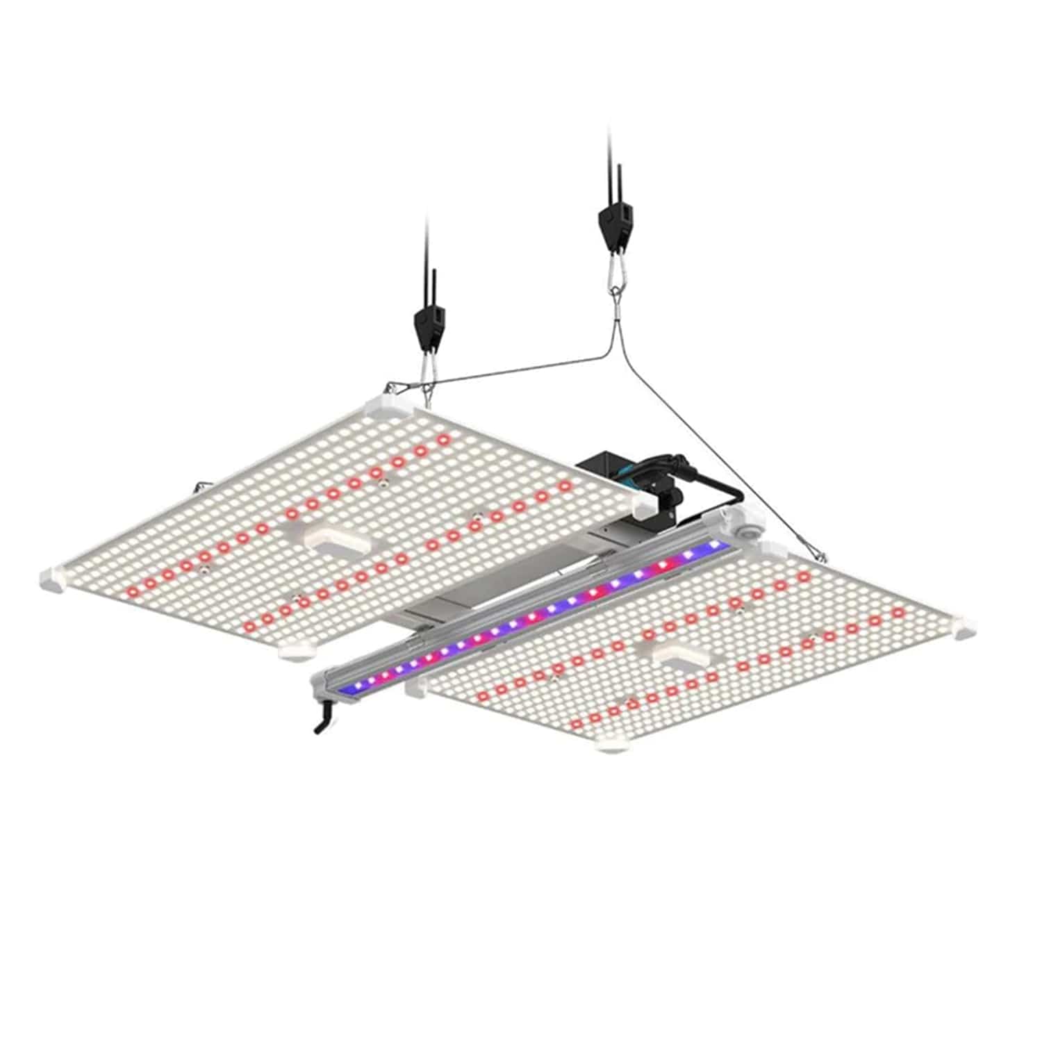 Lumii Black Blade - London Grow