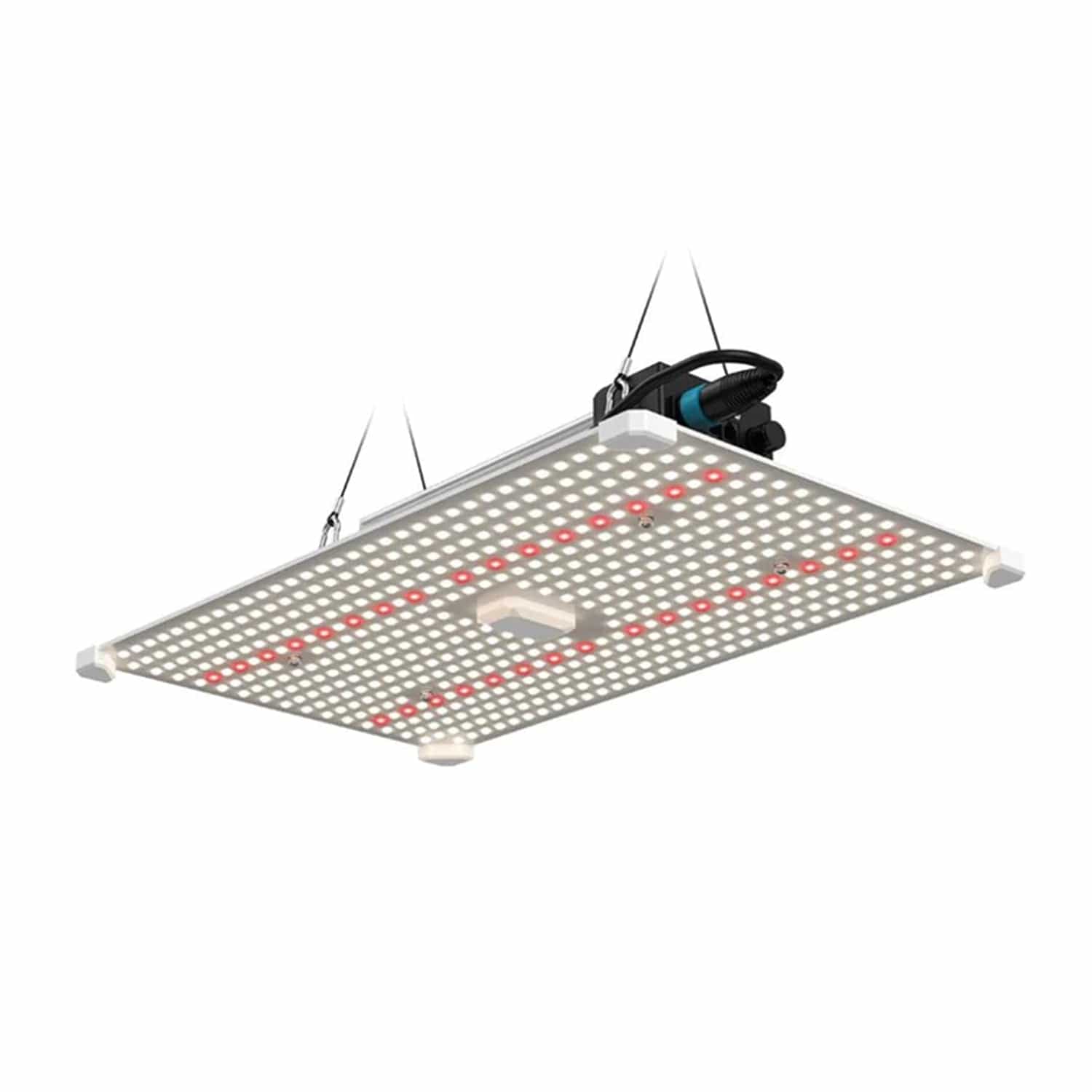 Lumii Black Blade - London Grow