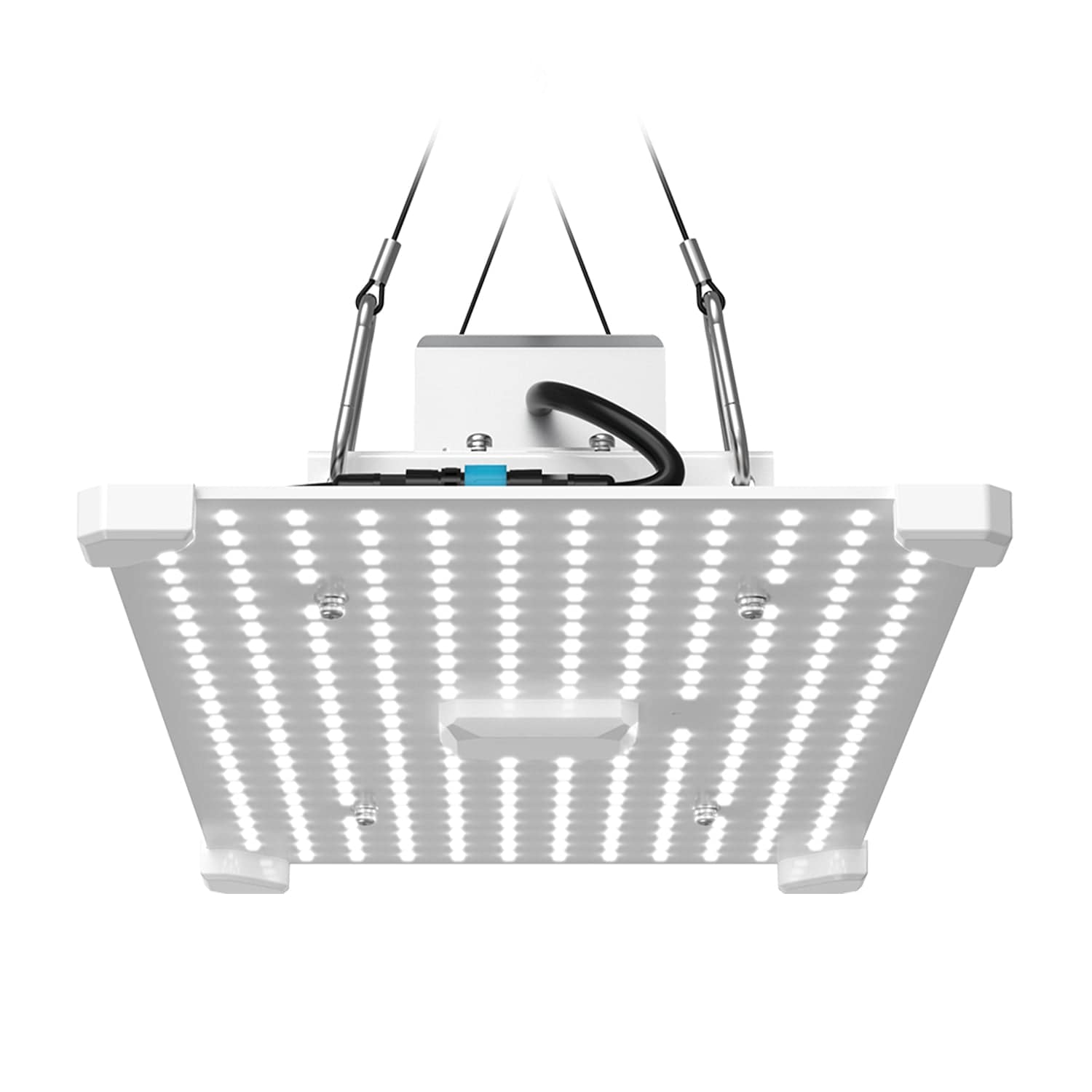 Lumii Black Blade - London Grow