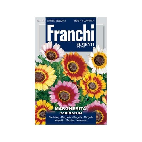 marguerite flower seeds Margherita Carinatum Seeds