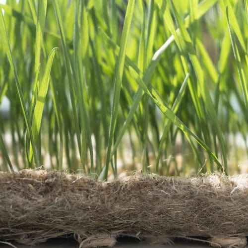 Seed It Hemp Mat for Microgreens (15m Roll) - London Grow